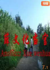 《薛文化当官记》：小人物的官场变形记，笑着看透人情世故！